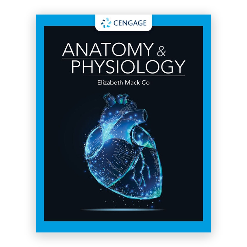Anatomy & Physiology 1st edition by Co