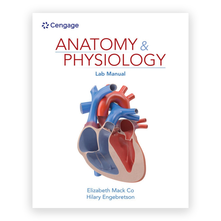 Anatomy & Physiology Lab Manual 1st edition by Co