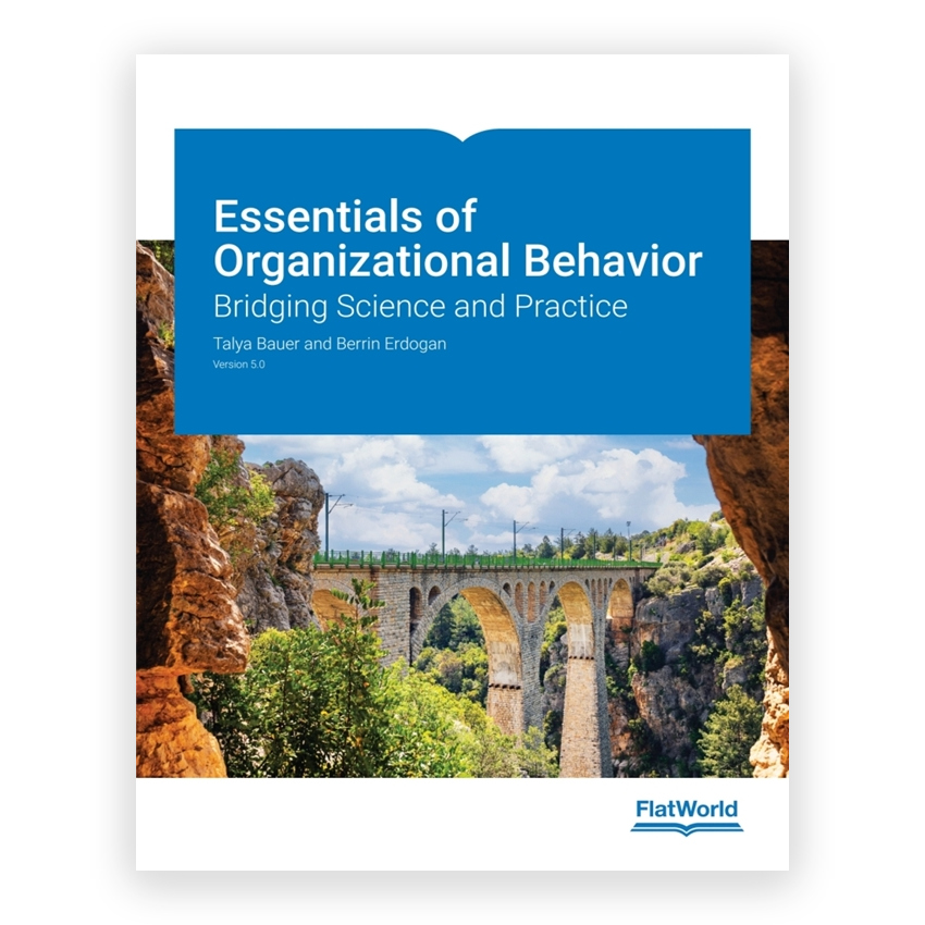 Essentials of Organizational Behavior v5 1st edition by Bauer