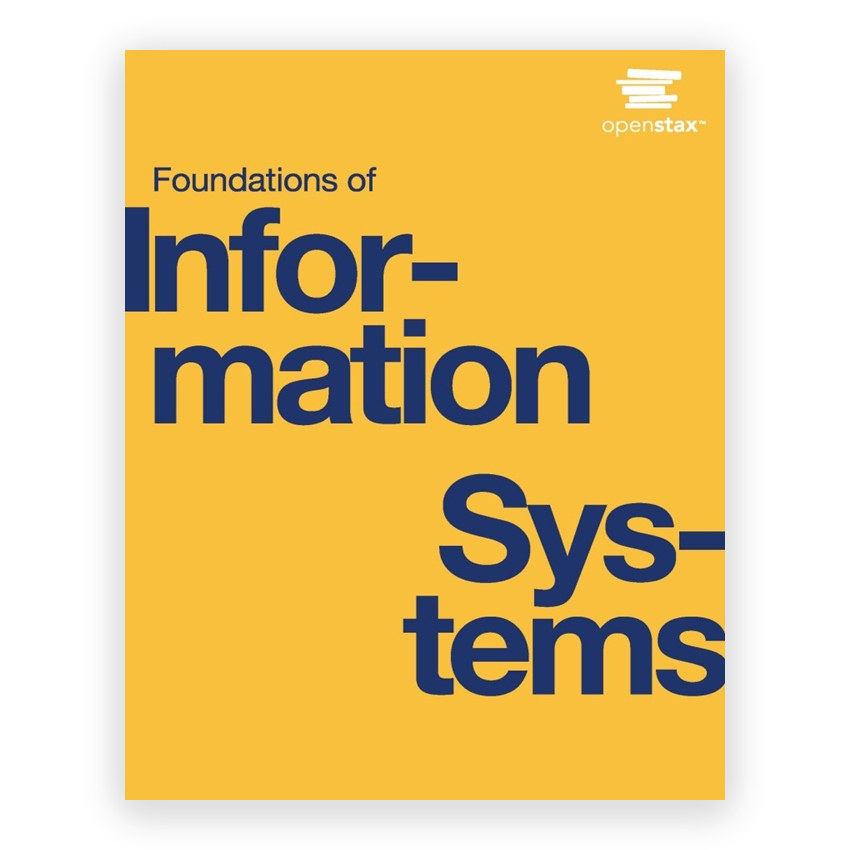 Foundations of Information Systems 1st edition by Raisinghani