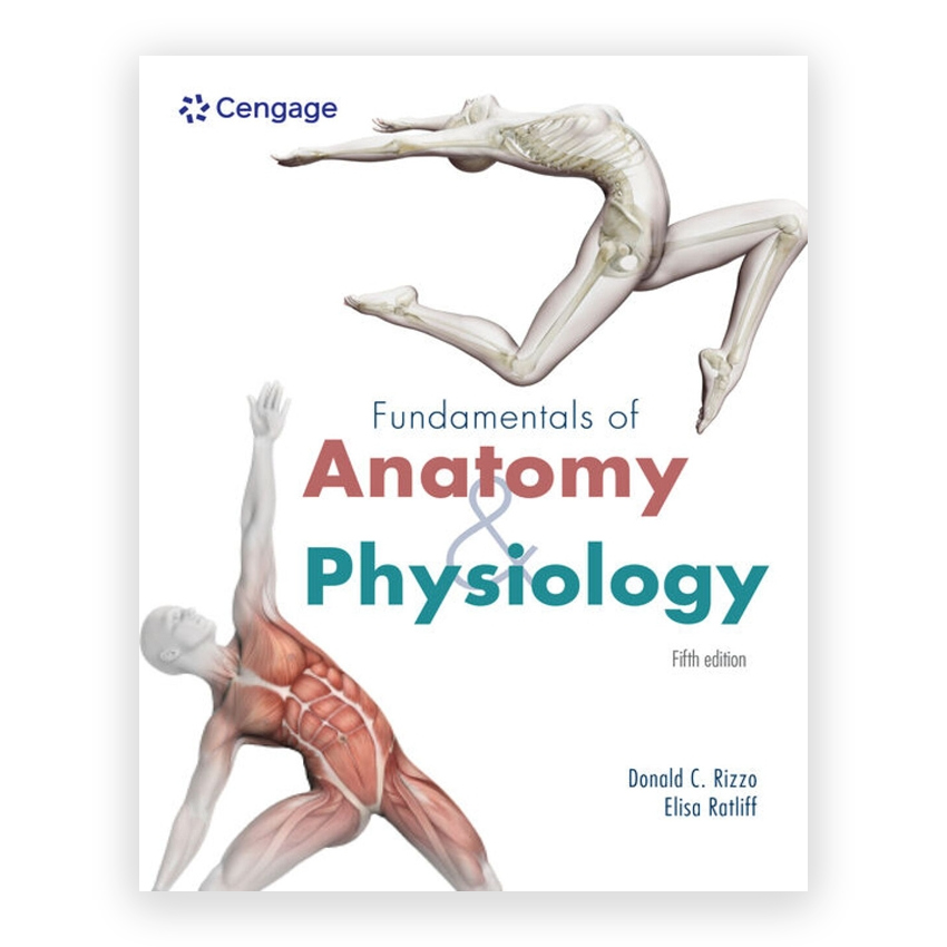 Fundamentals of Anatomy and Physiology 5th edition by Rizzo