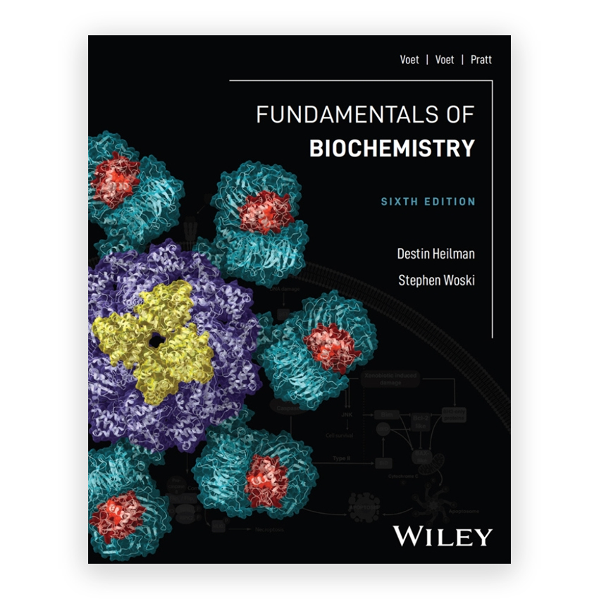 Fundamentals of Biochemistry 6th edition by Heilman