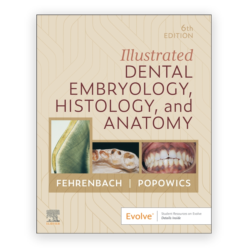 Illustrated Dental Embryology Histology and Anatomy 6th edition by Fehrenbach