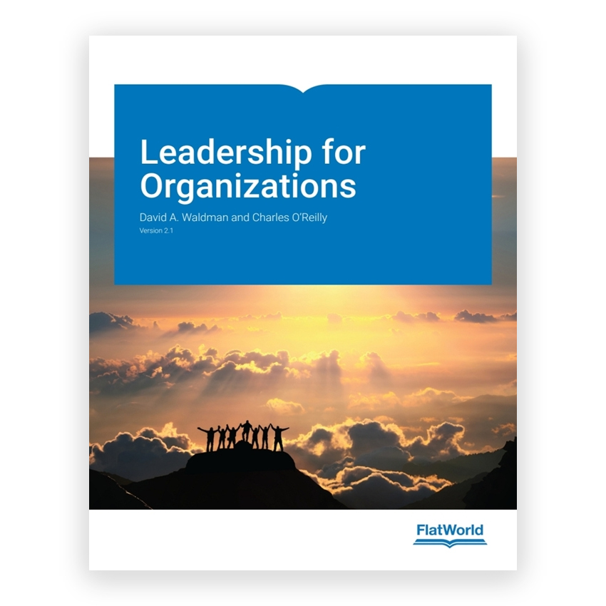 Leadership for Organizations v2 1st edition by OReilly