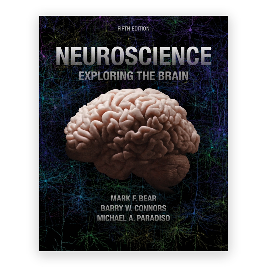 Neuroscience Exploring the Brain 5th edition by Bear