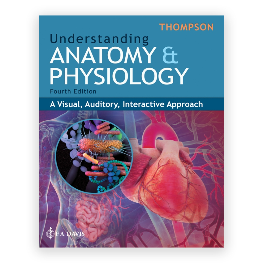 Understanding Anatomy and Physiology 4th edition by Thompson